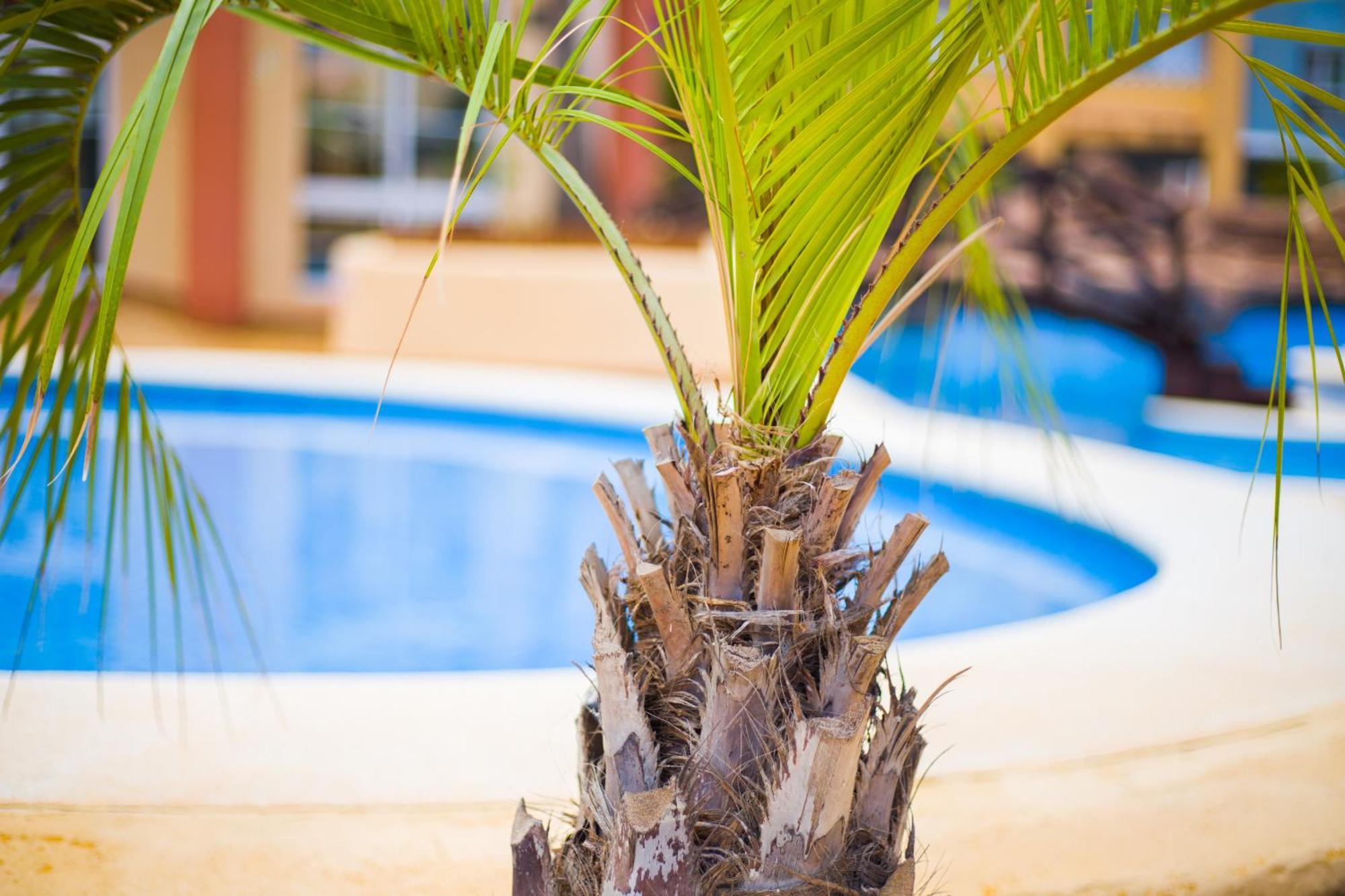 Apartamento Turistico Verdemar 2 La Manga del Mar Menor Zewnętrze zdjęcie